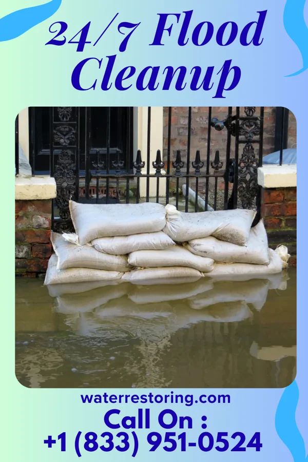 24/7 Flood Cleanup in Wyoming, IL