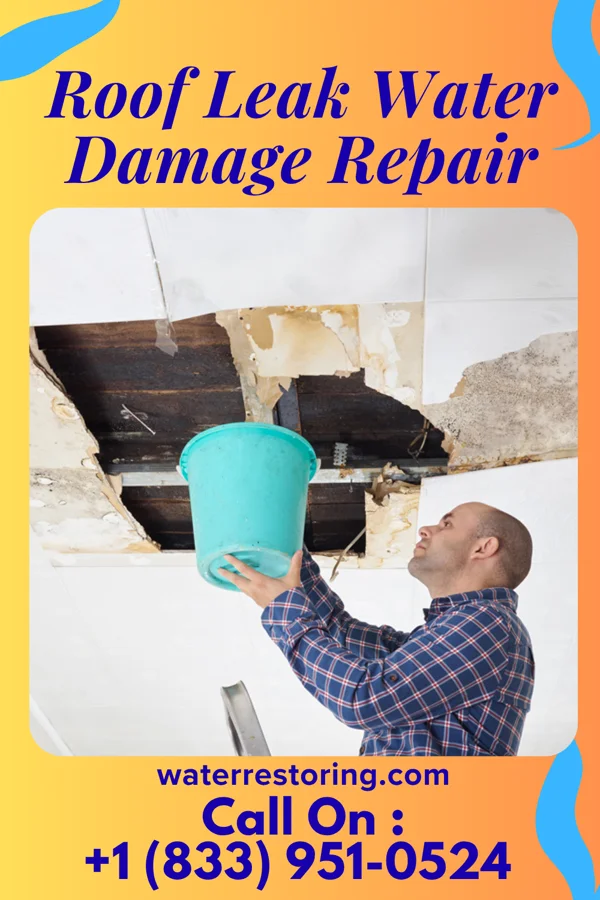 Roof Leak Water Damage Repair in Wyoming, IL