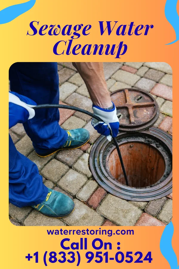 Sewage Water Cleanup in Wyoming, IL