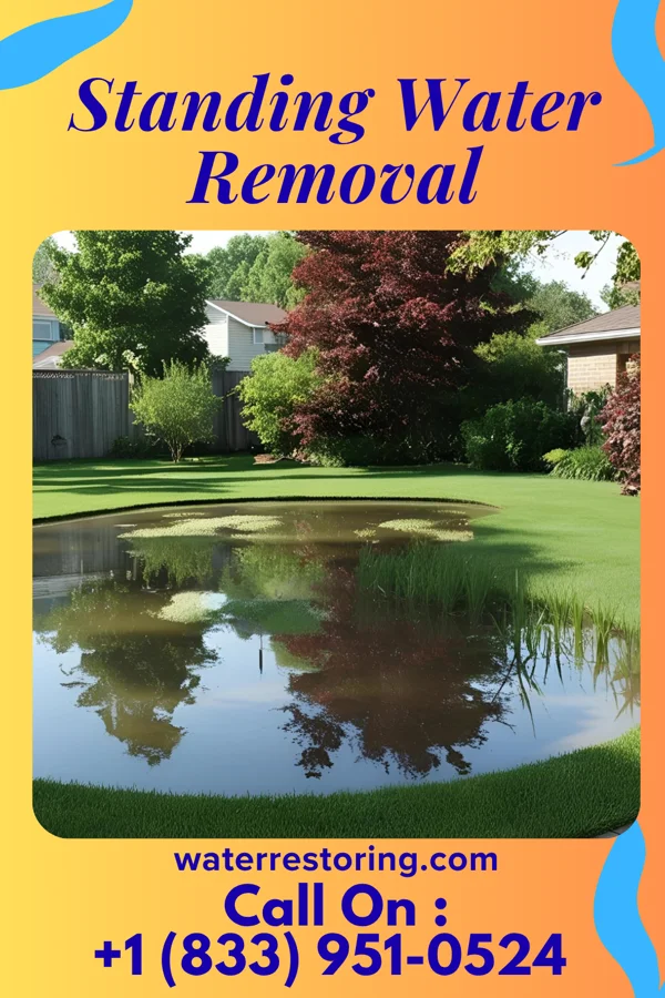 Standing Water Removal in Wyoming, IL